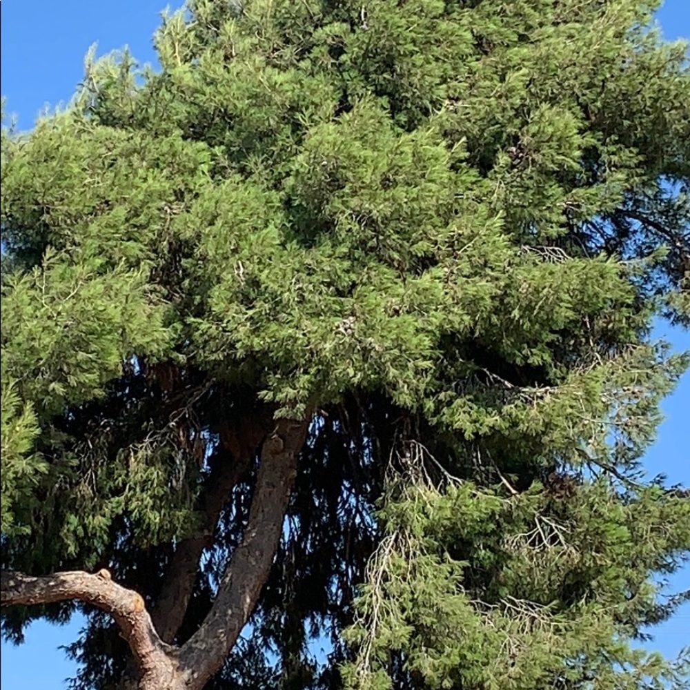 Meet your Posher, Marcos